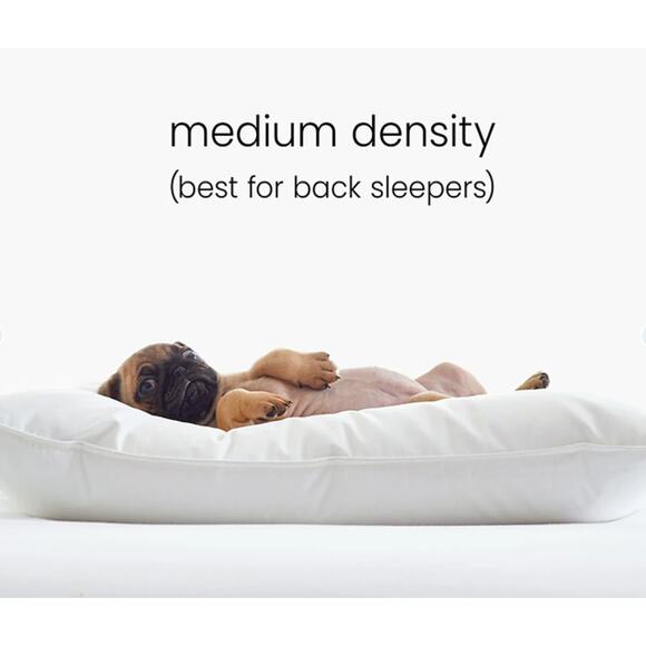 The Company Store Legends Luxury Royal Down Pillow Medium - Standard - Picture 3 of 5